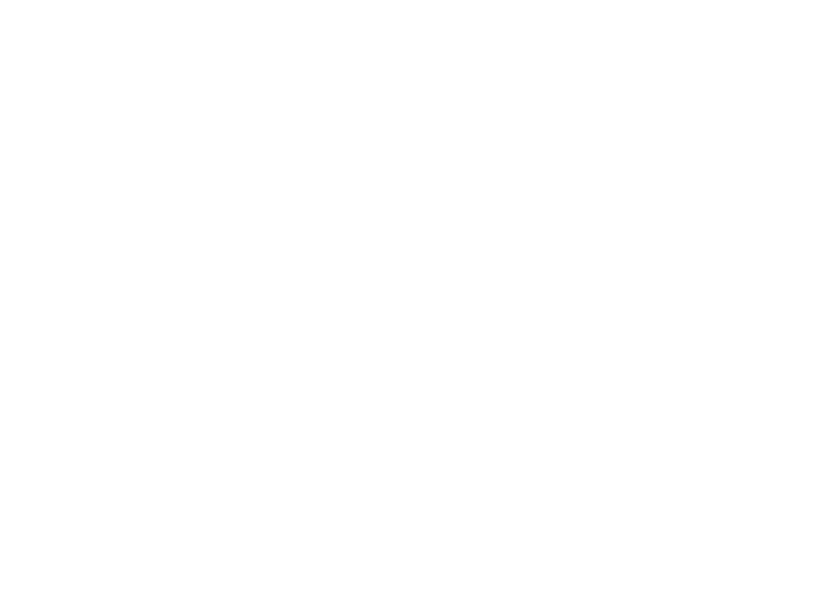 Narrows Marina Logo